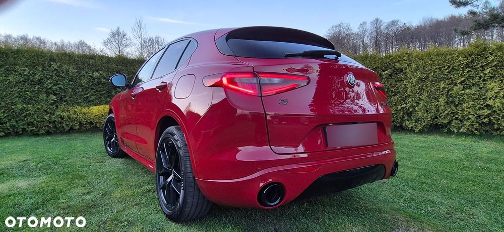 Alfa Romeo Stelvio 2.0 Turbo Veloce Q4 - 5