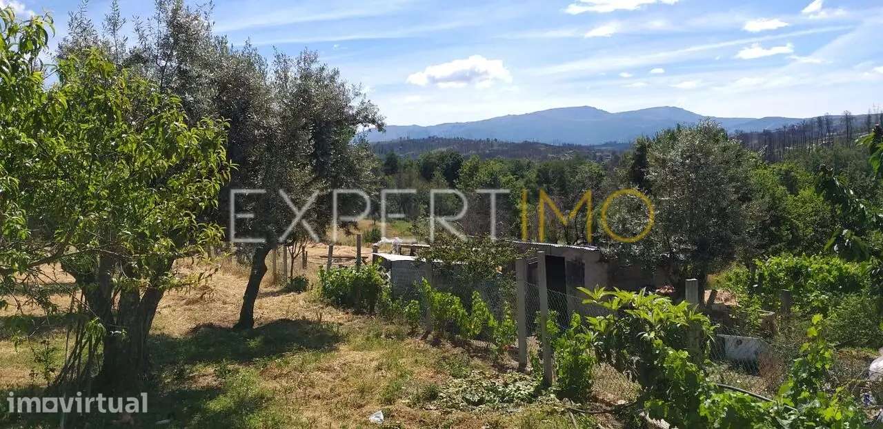 Casa de Habitação e Terreno Amplo em Localização Rural - Grande imagem: 4/25