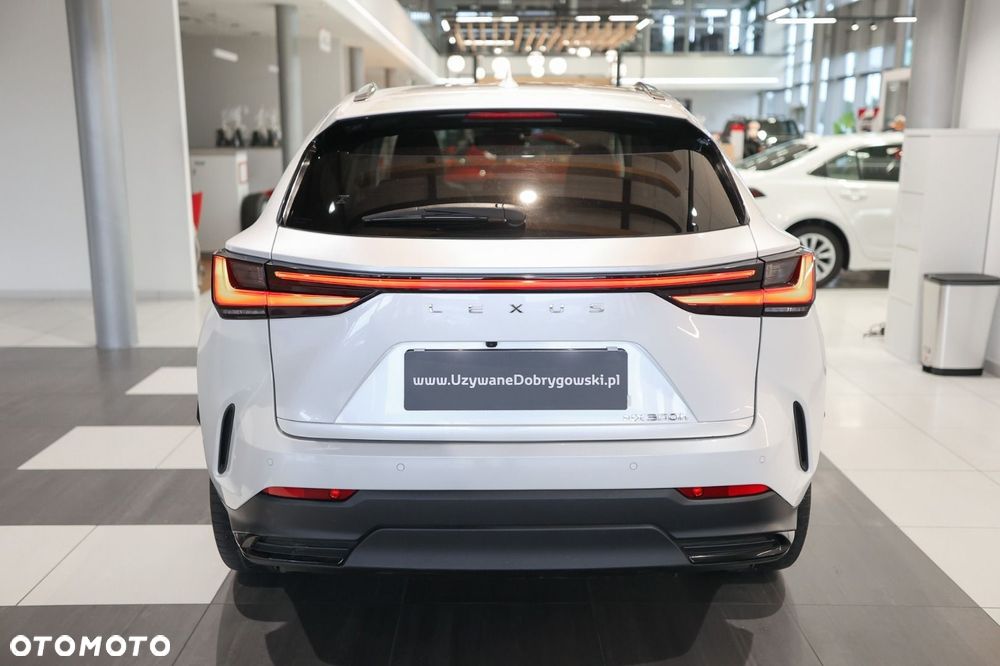 Lexus NX - 4