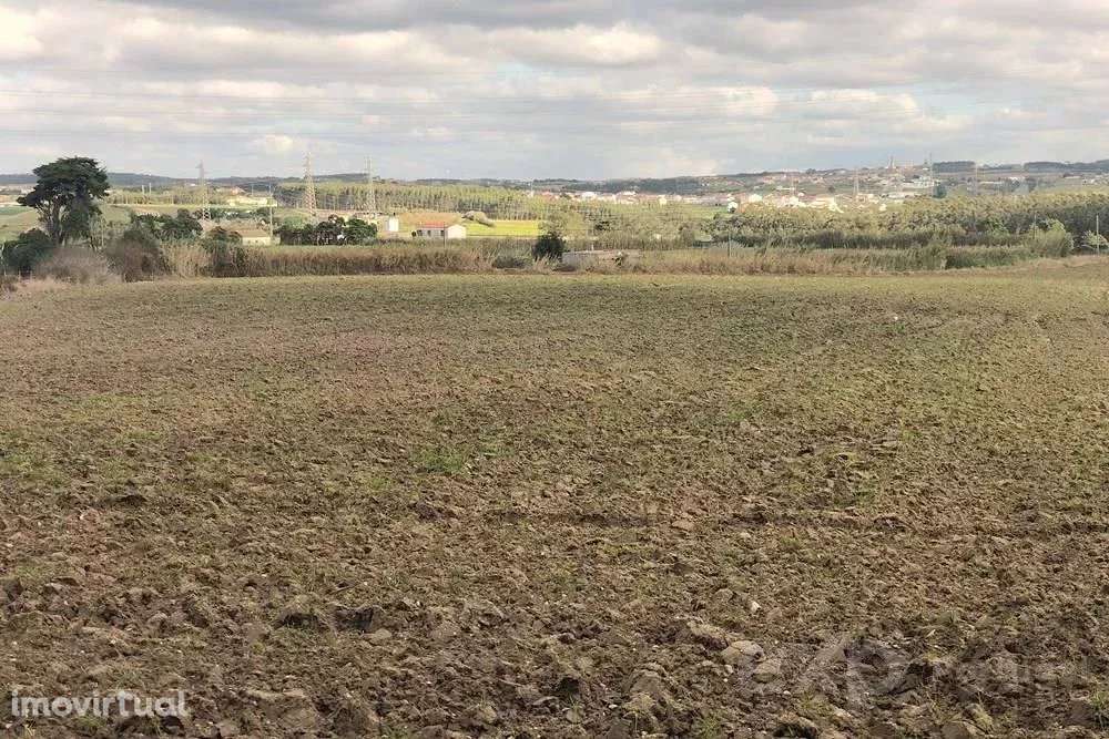 Terreno Rústico de 14.000 m² na Vila de Atouguia da Baleia - Grande imagem: 5/23
