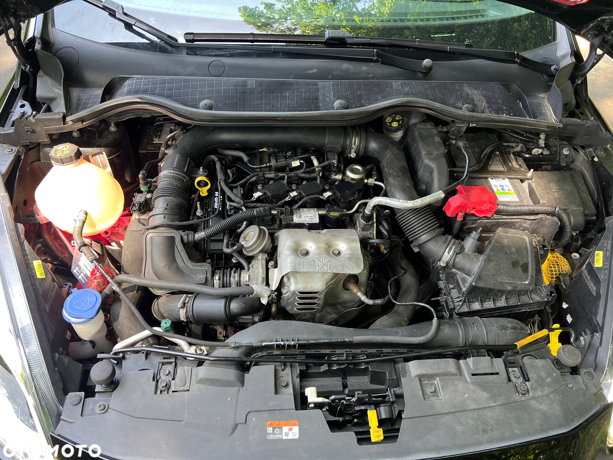 Ford Fiesta 1.0 EcoBoost Platinium X - 22