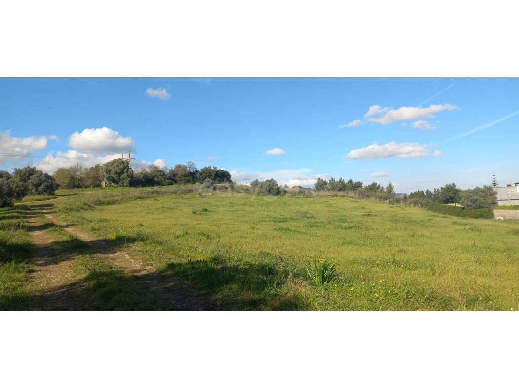 Terreno rústico com 11000 m2 em Alverca do Ribatejo - Grande imagem: 2/8