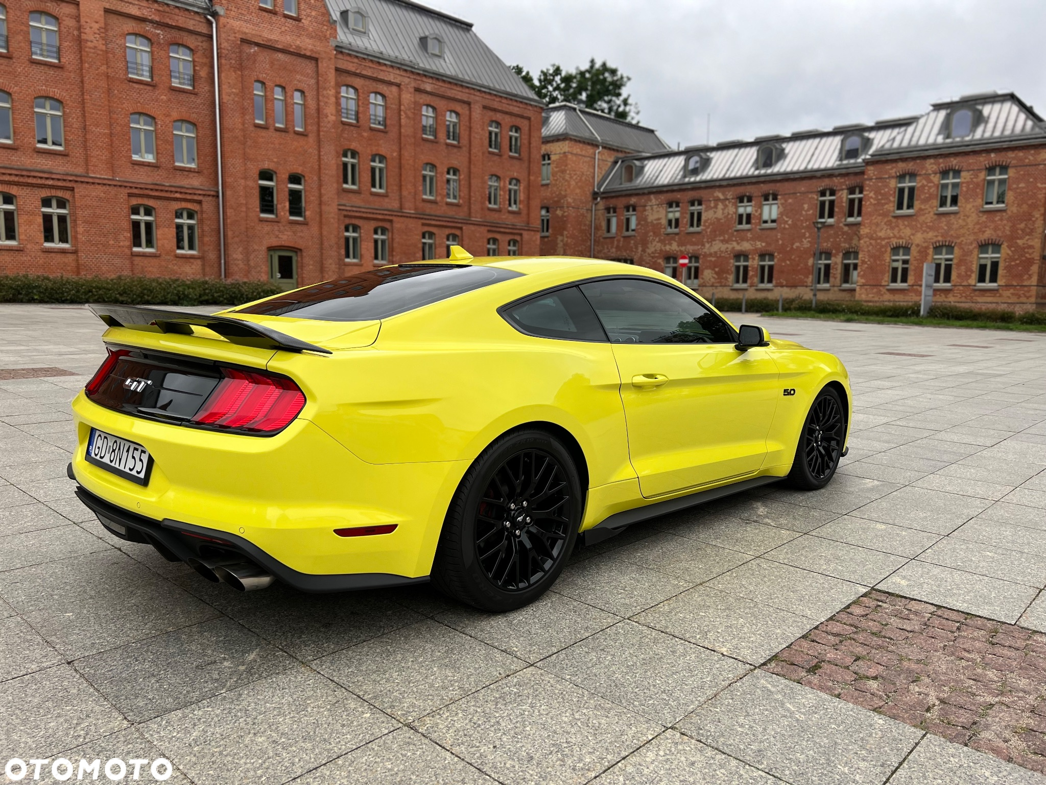 Ford Mustang 5.0 V8 Mach 1 - 4