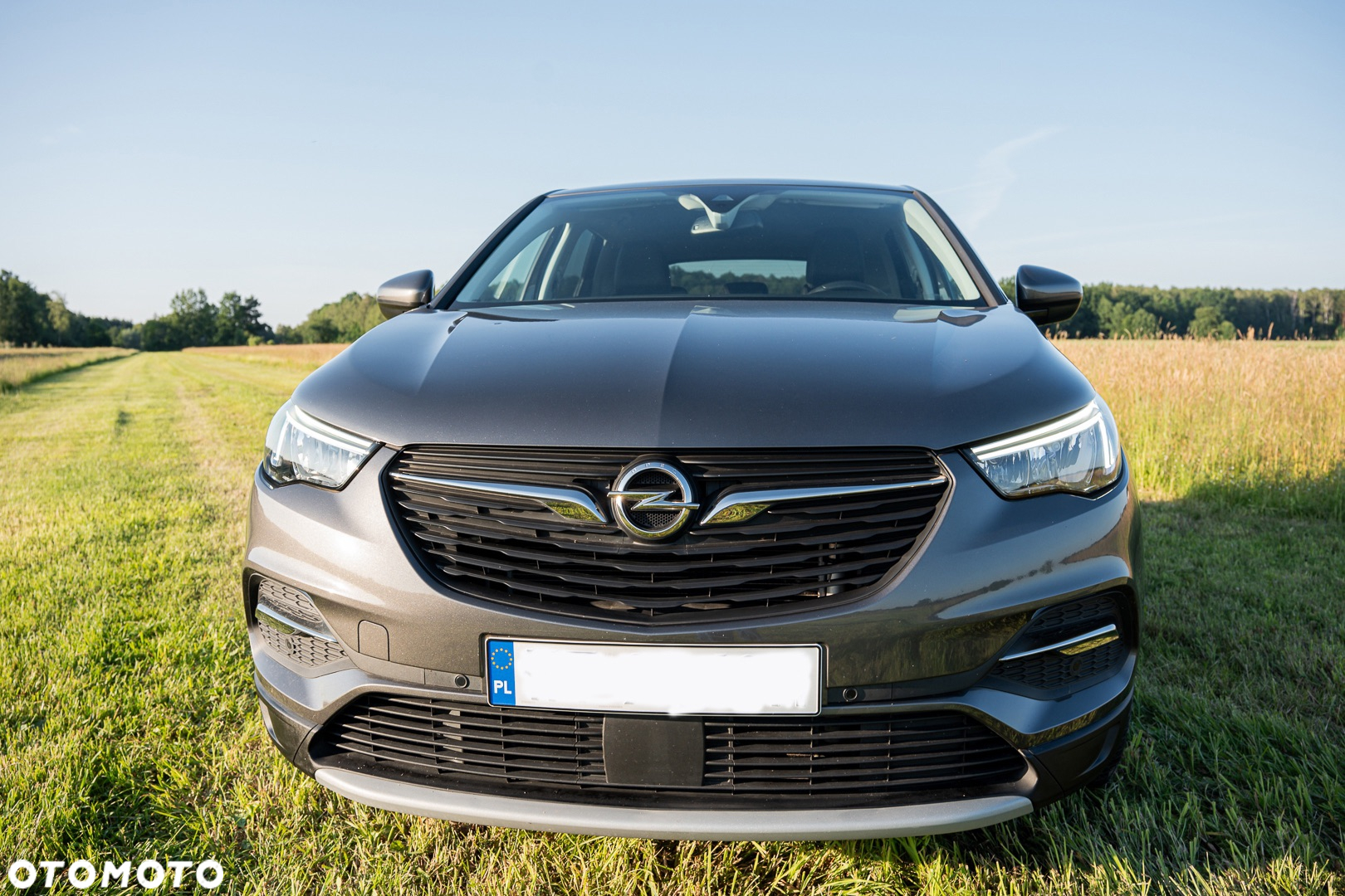 Opel Grandland X 1.2 T GPF Edition Business Pack S&S - 4