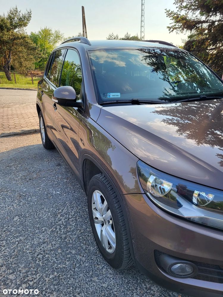 Volkswagen Tiguan - 16