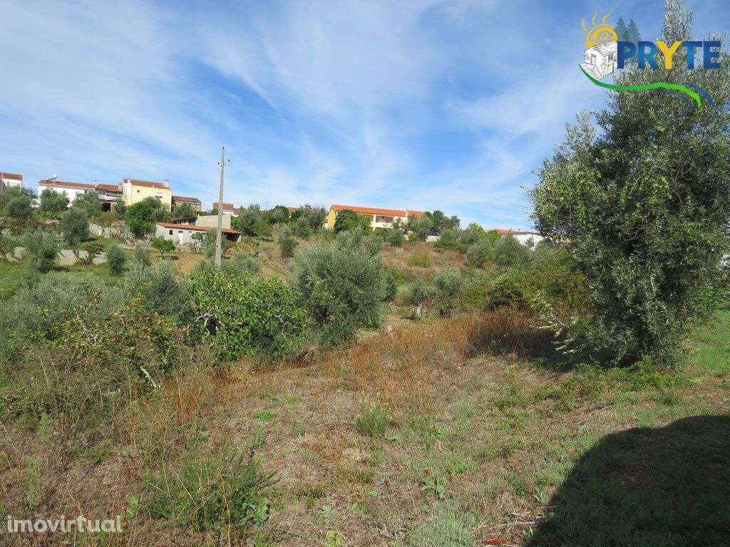 Terreno para construção com área de 2750 m2 perto da Sertã - Grande imagem: 3/9