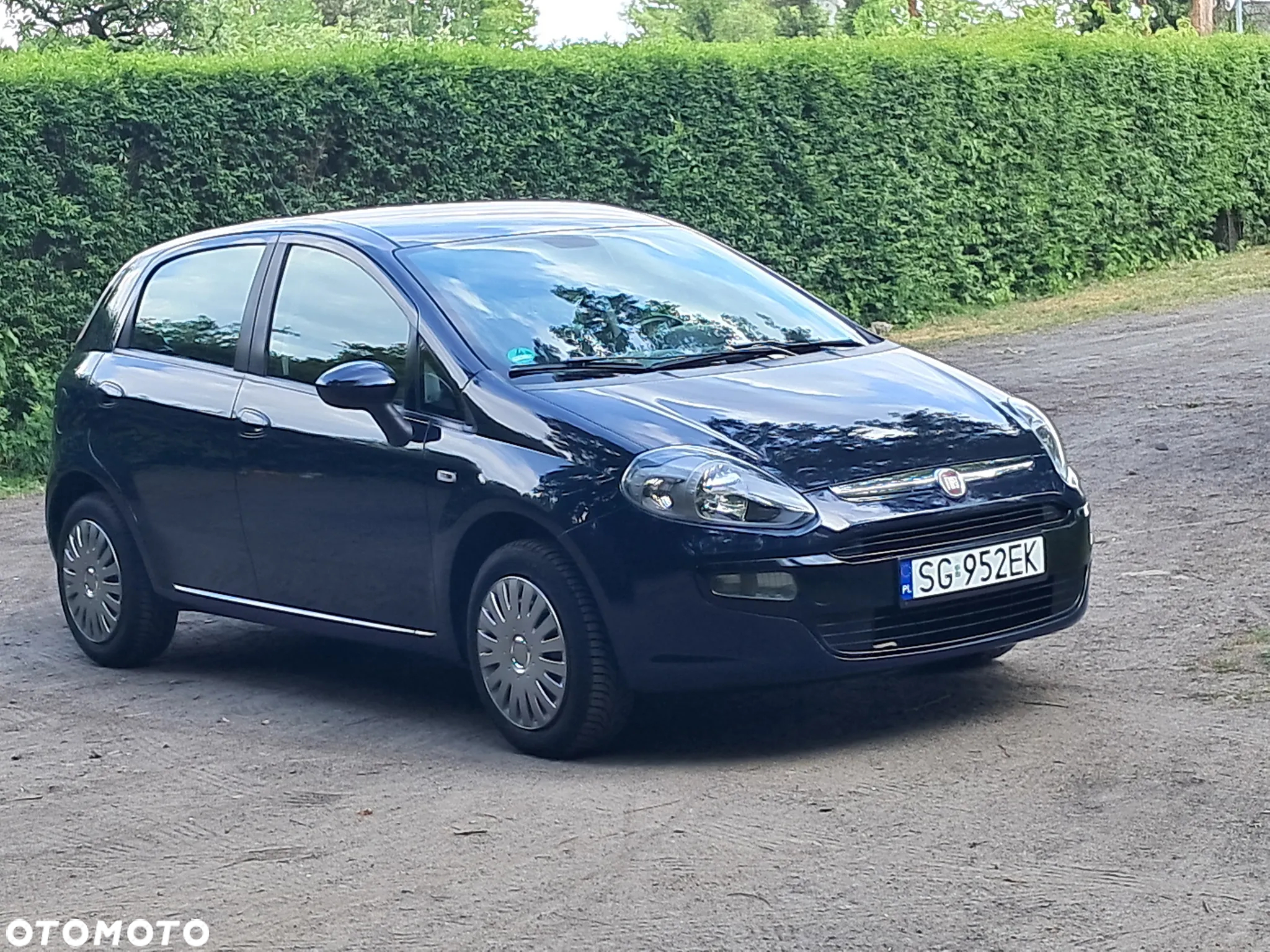 Fiat Punto Evo - 2