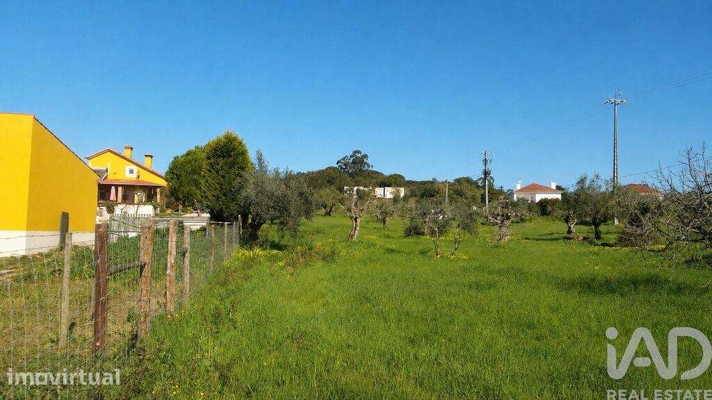 Terreno Agrícola em Meia Via - Grande imagem: 2/5
