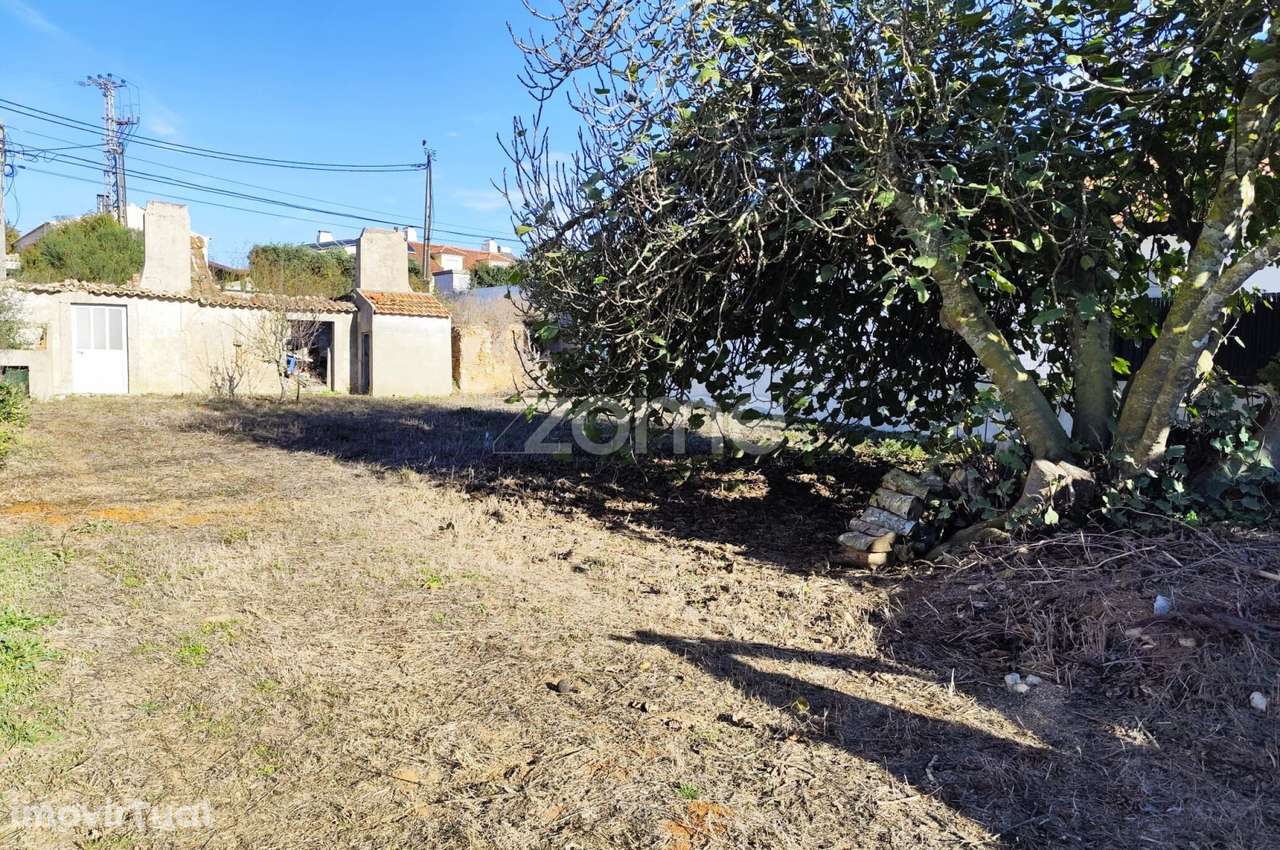 Oportunidade Única na Serra da Azóia – Ruína com Projeto - Grande imagem: 5/15