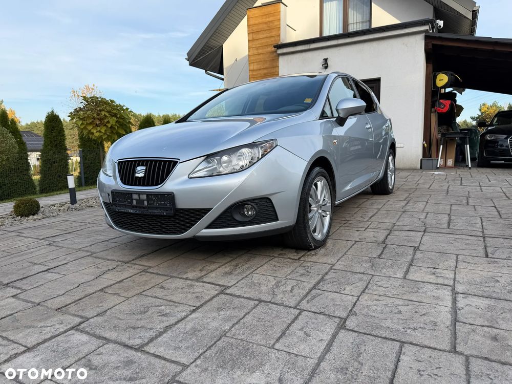 Seat Ibiza 2010 photo 3