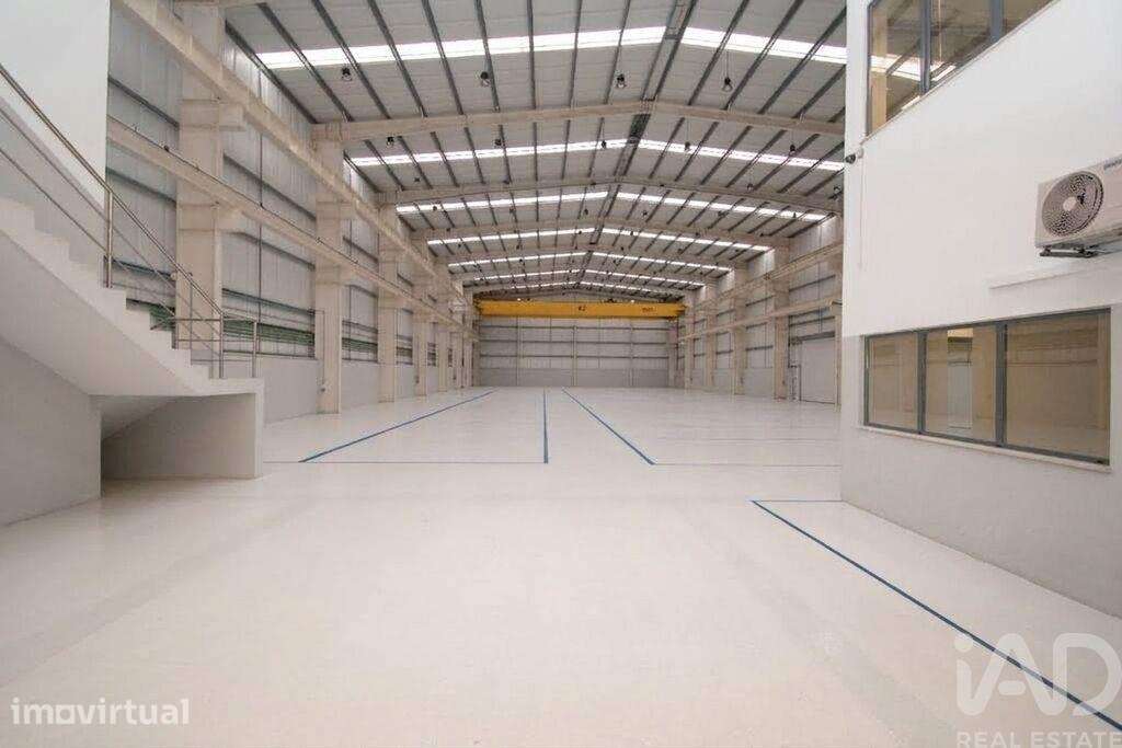 Hangar em Marinha Grande de 2727,00 m2 - Grande imagem: 4/25