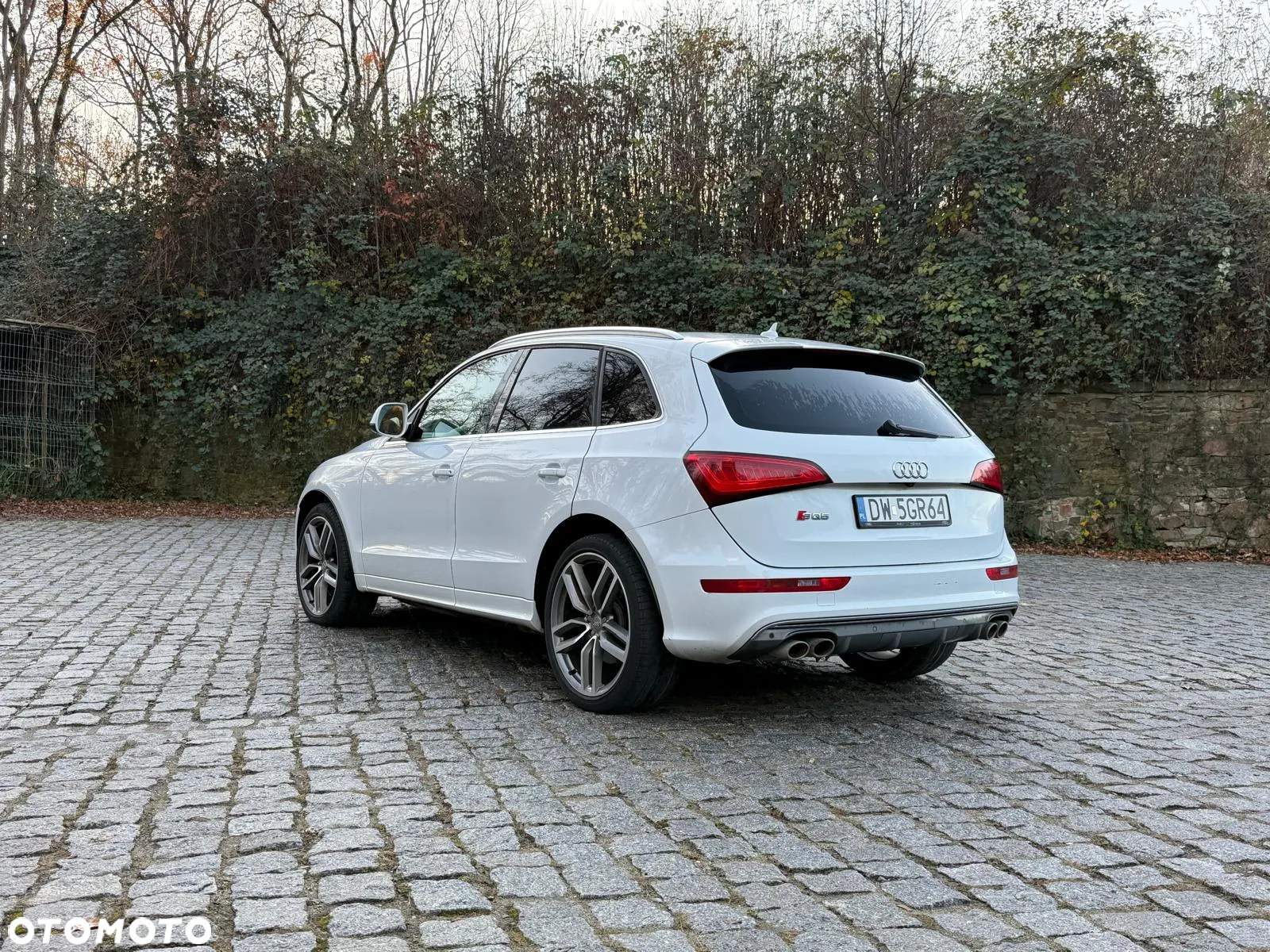Audi SQ5 - 4