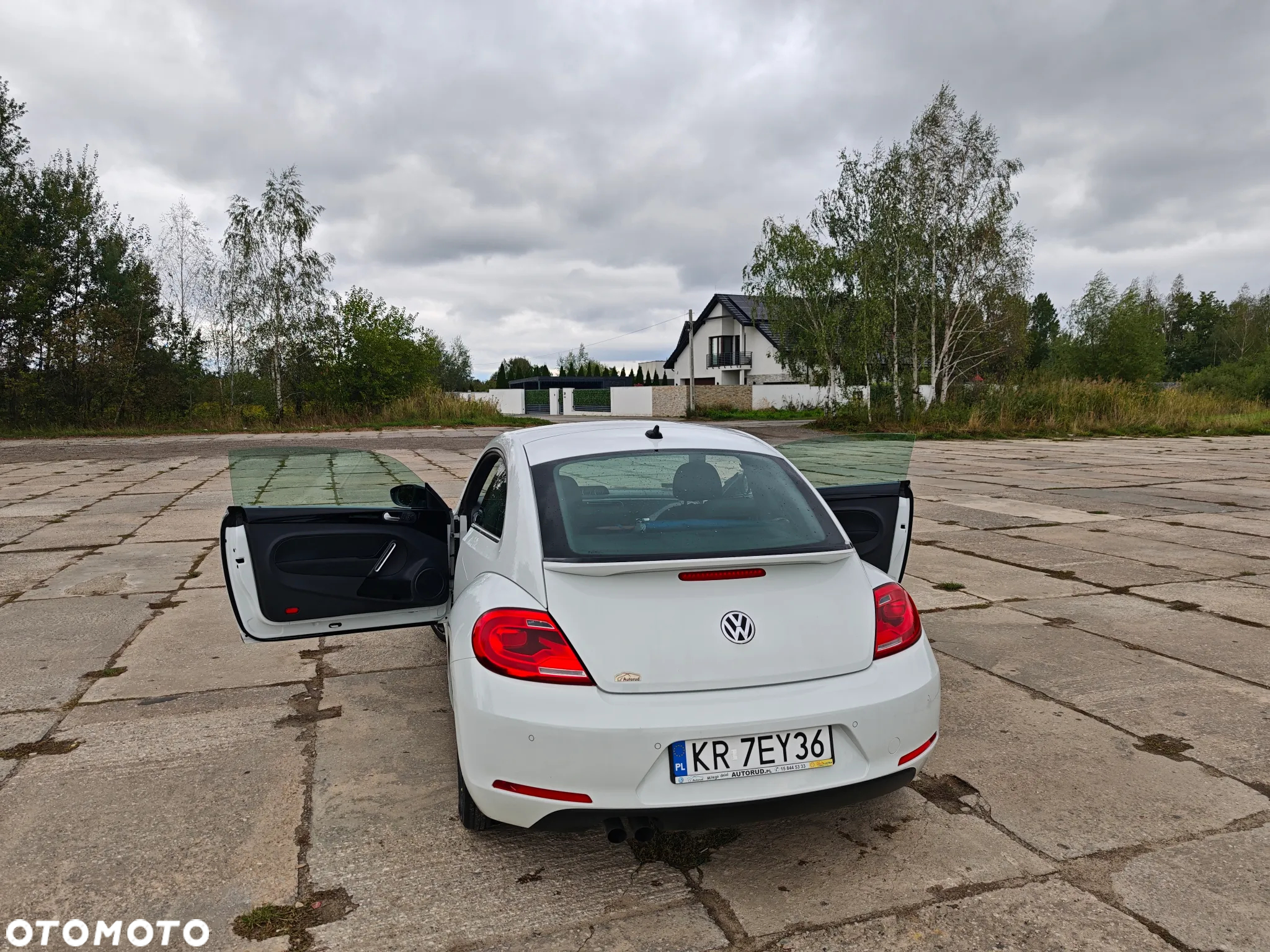 Volkswagen Beetle - 13