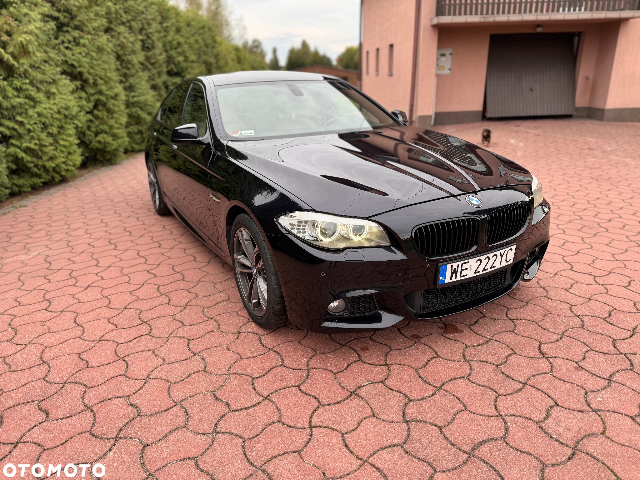 BMW Seria 5 - 3