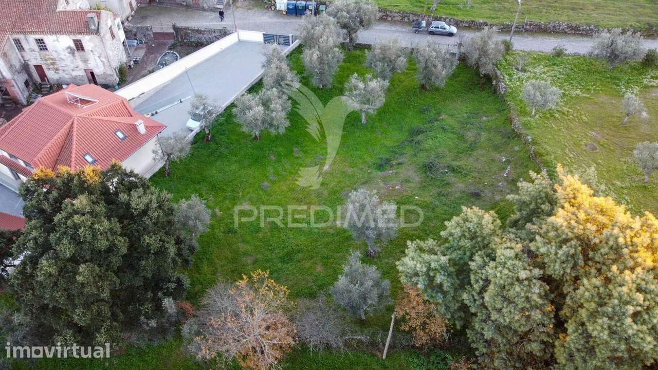 Terreno com Viabilidade Construtiva,  na Ratoeira Celorico da Beira - Grande imagem: 4/9