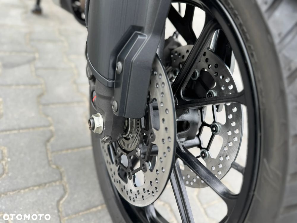 Suzuki V-STROM - 10