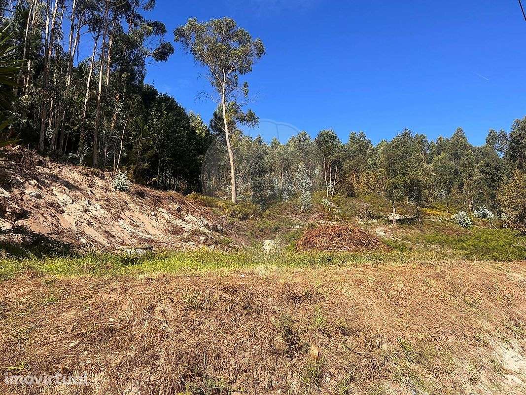 Terreno  para venda - Grande imagem: 3/8