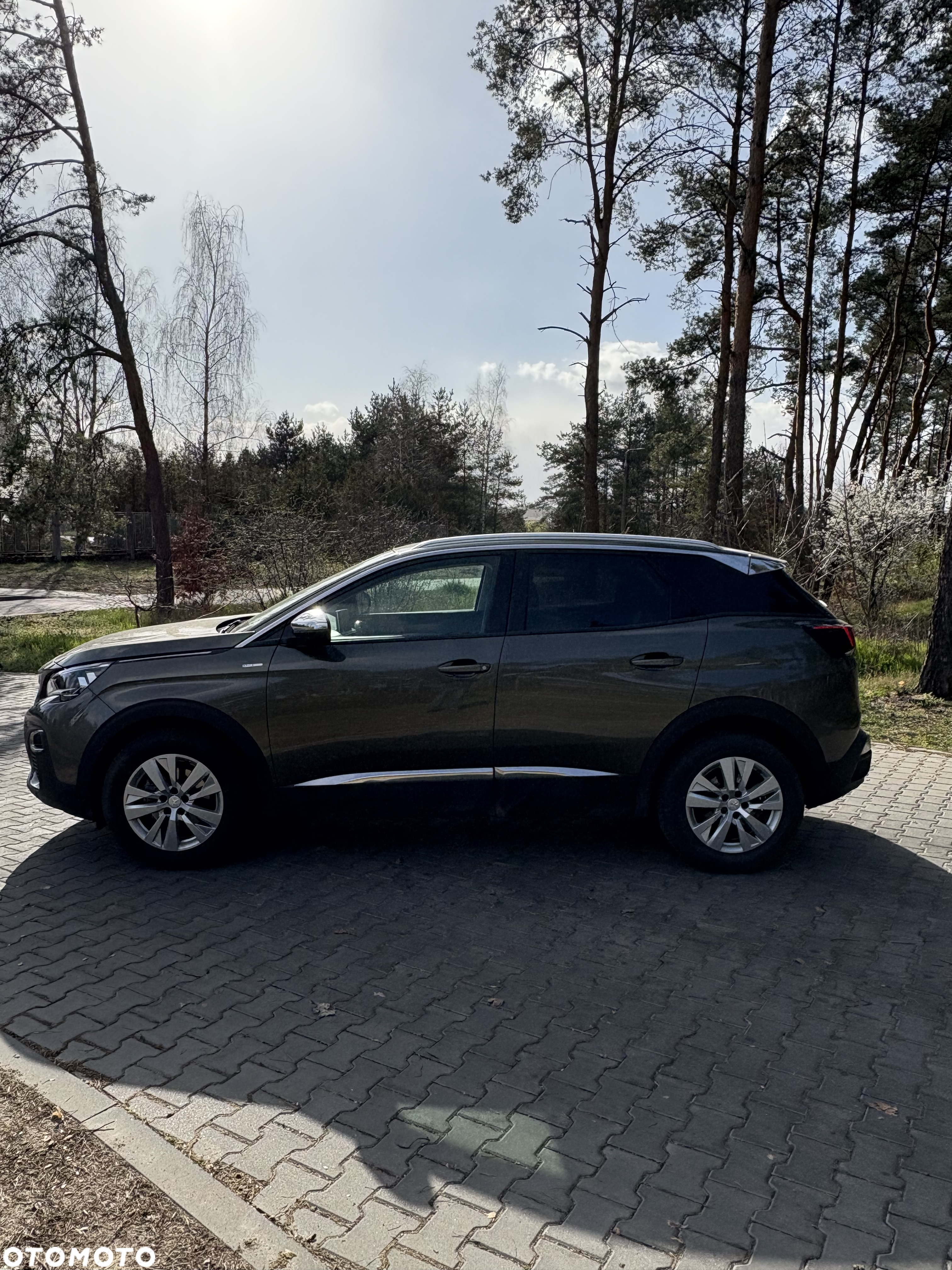 Peugeot 3008 - 12