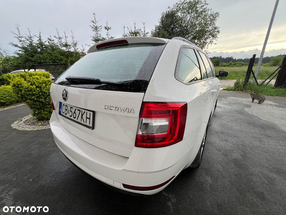 Skoda Octavia 1.6 TDI SCR Ambition - 5