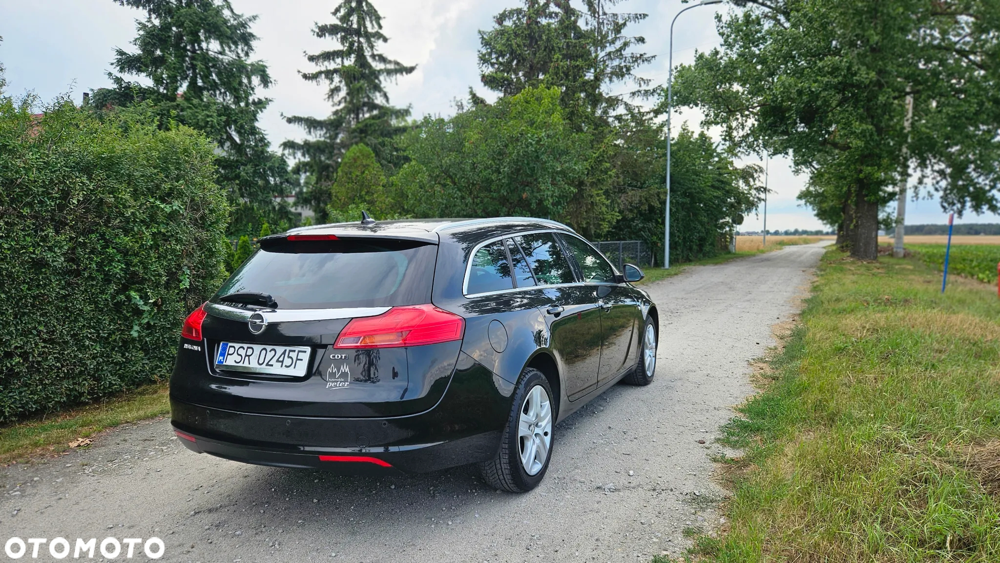 Opel Insignia 2.0 CDTI Cosmo ecoFLEX - 6