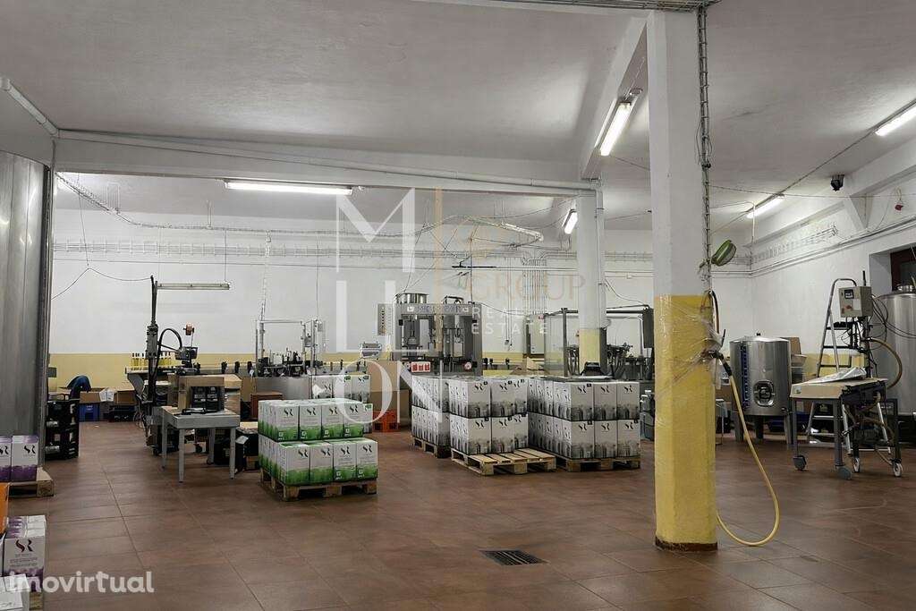 Armazém com uma área de 463 m2  – Almeirim - Grande imagem: 5/9