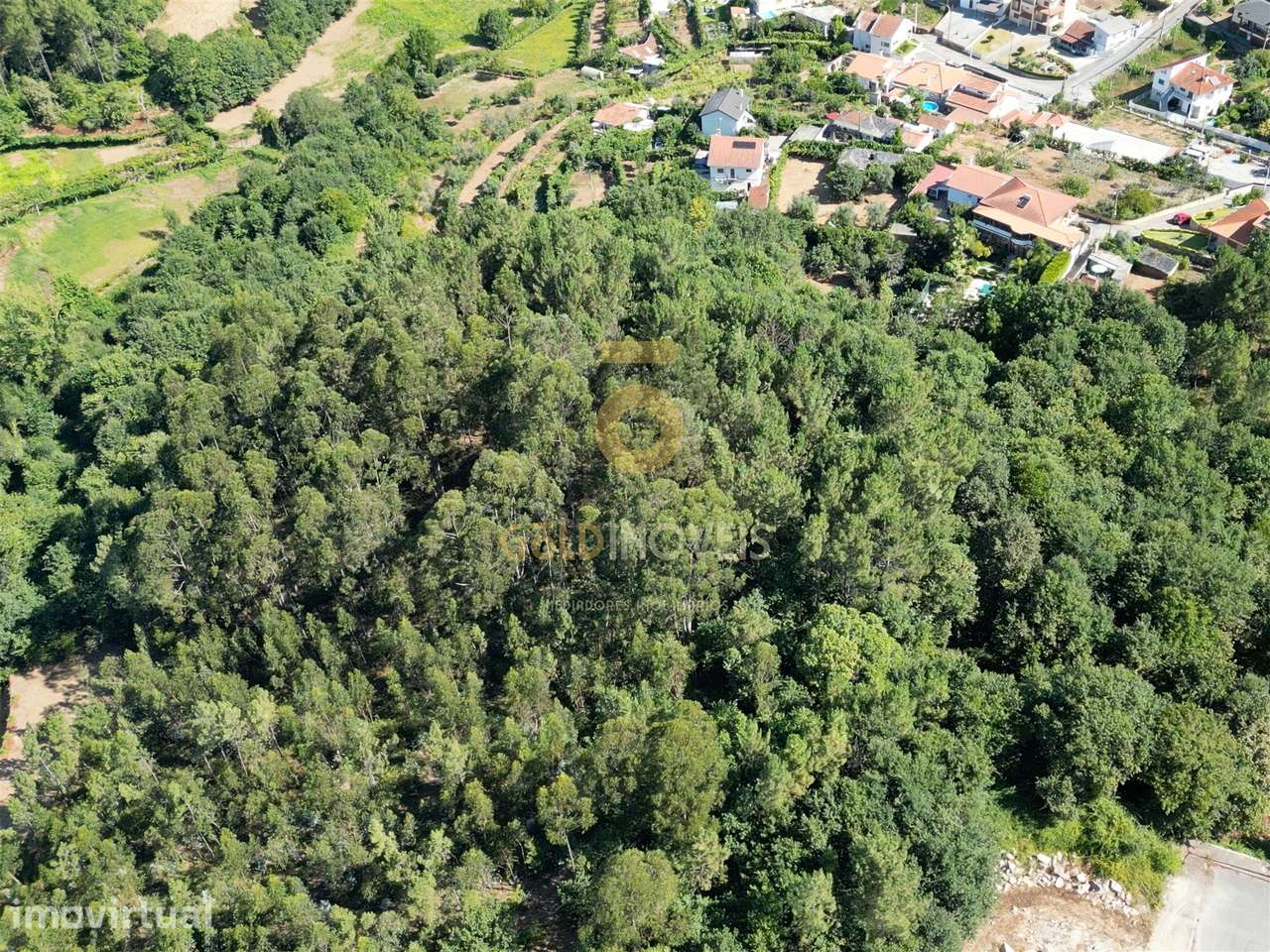 Terreno Rústico  Venda em Nespereira,Cinfães - Grande imagem: 2/2
