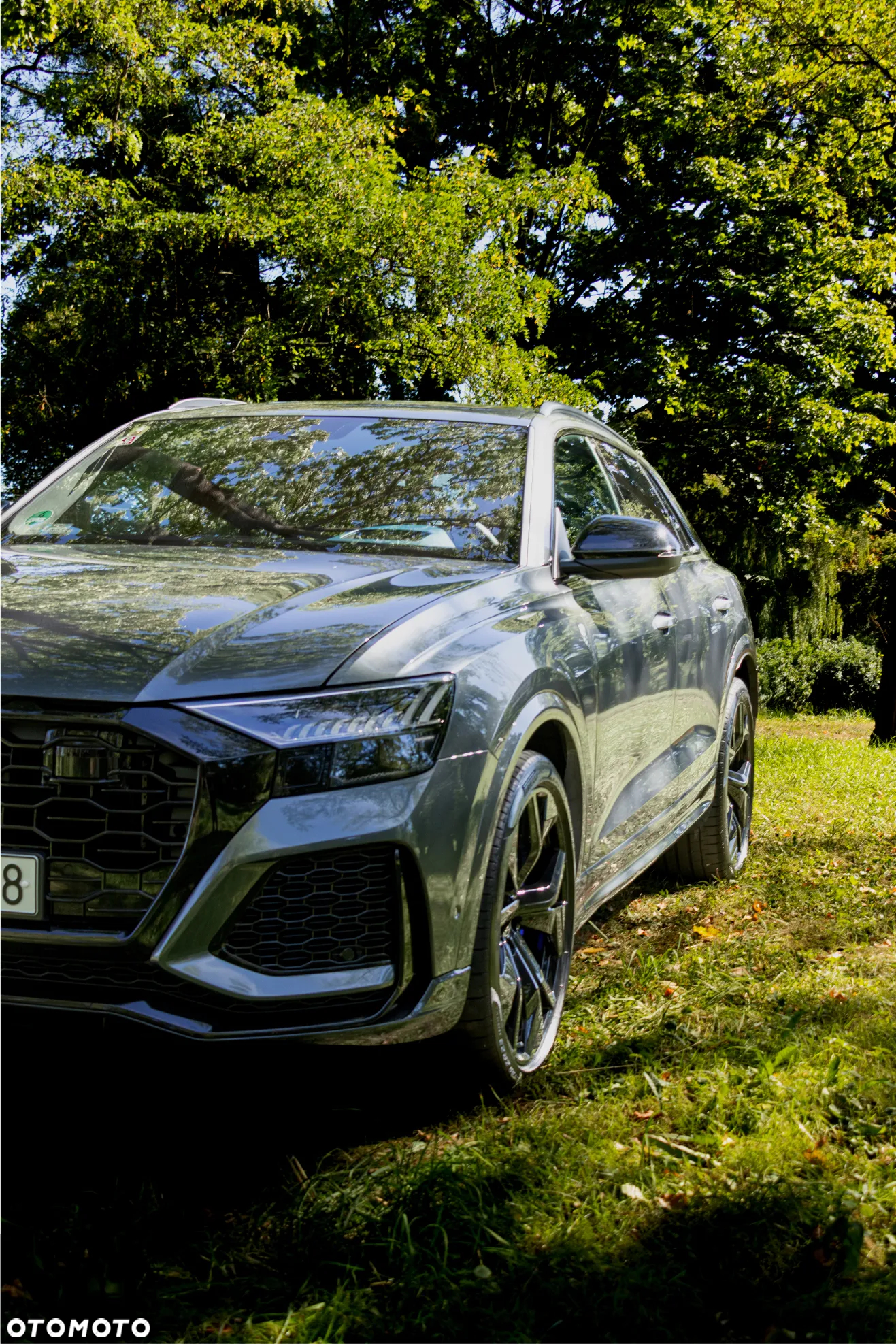 Audi RS Q8 - 28