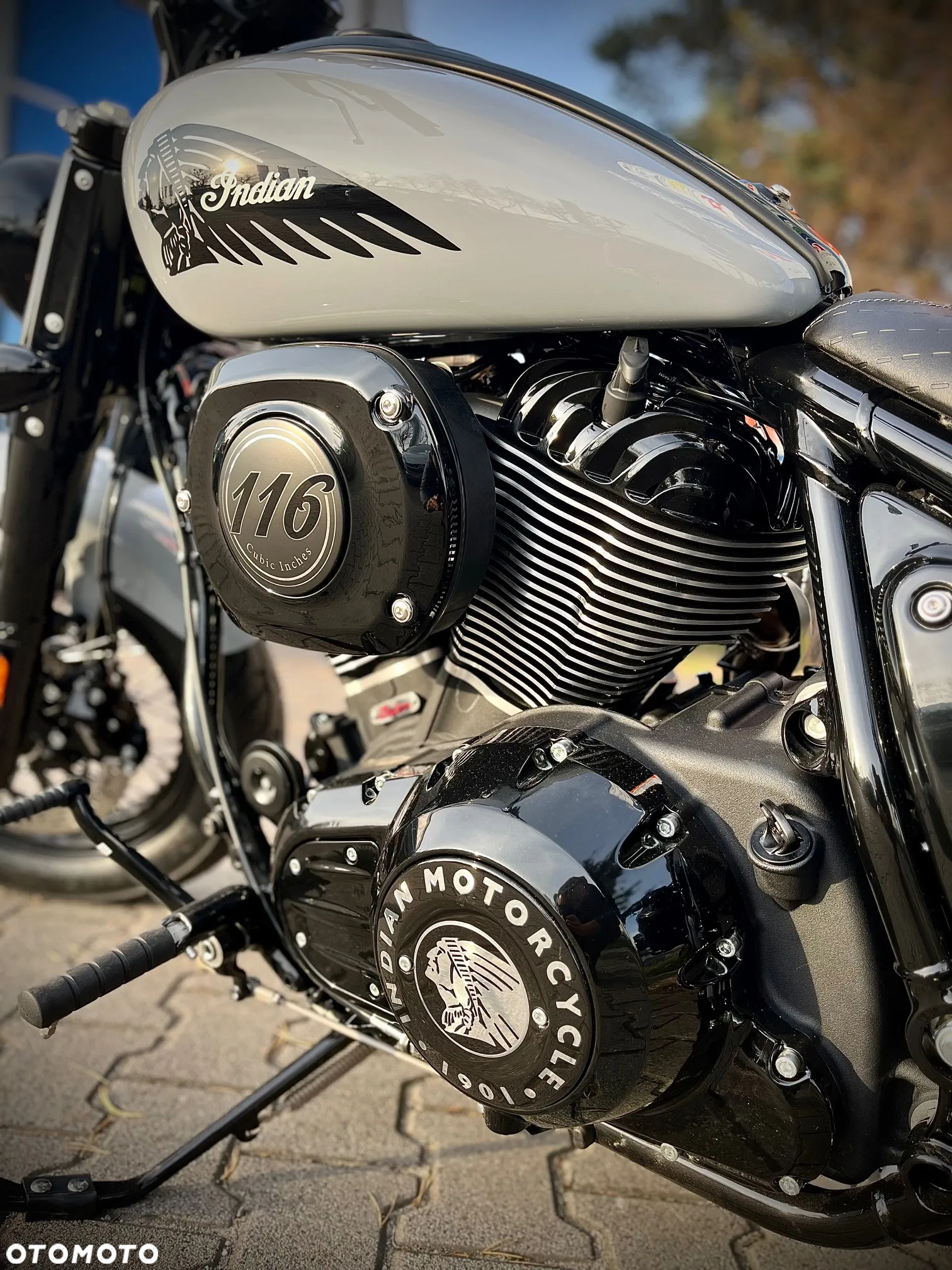 Indian Chief - 9