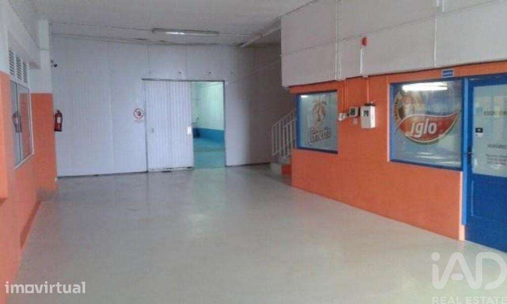 Hangar em Praia da Vitória (Santa Cruz) de 2202,00 m2 - Grande imagem: 2/17