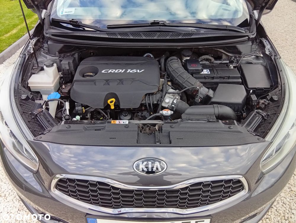Kia Ceed - 20
