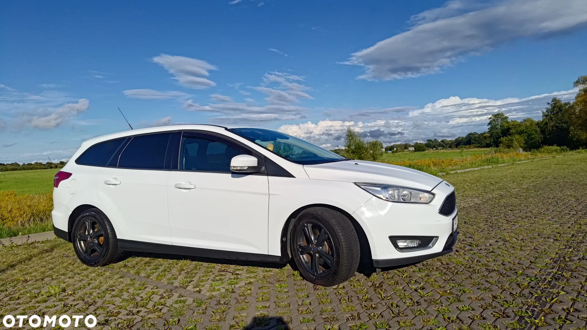 Ford Focus - 3