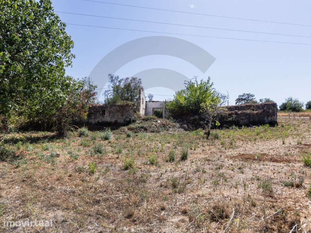 Ruina - Casal Bemposta ( Terra Fria ), Casével, Santarém - Grande imagem: 4/9