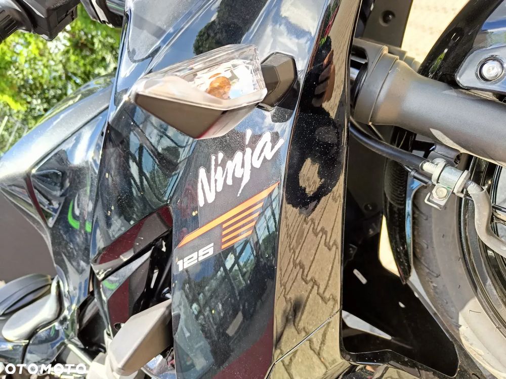 Kawasaki Ninja - 12