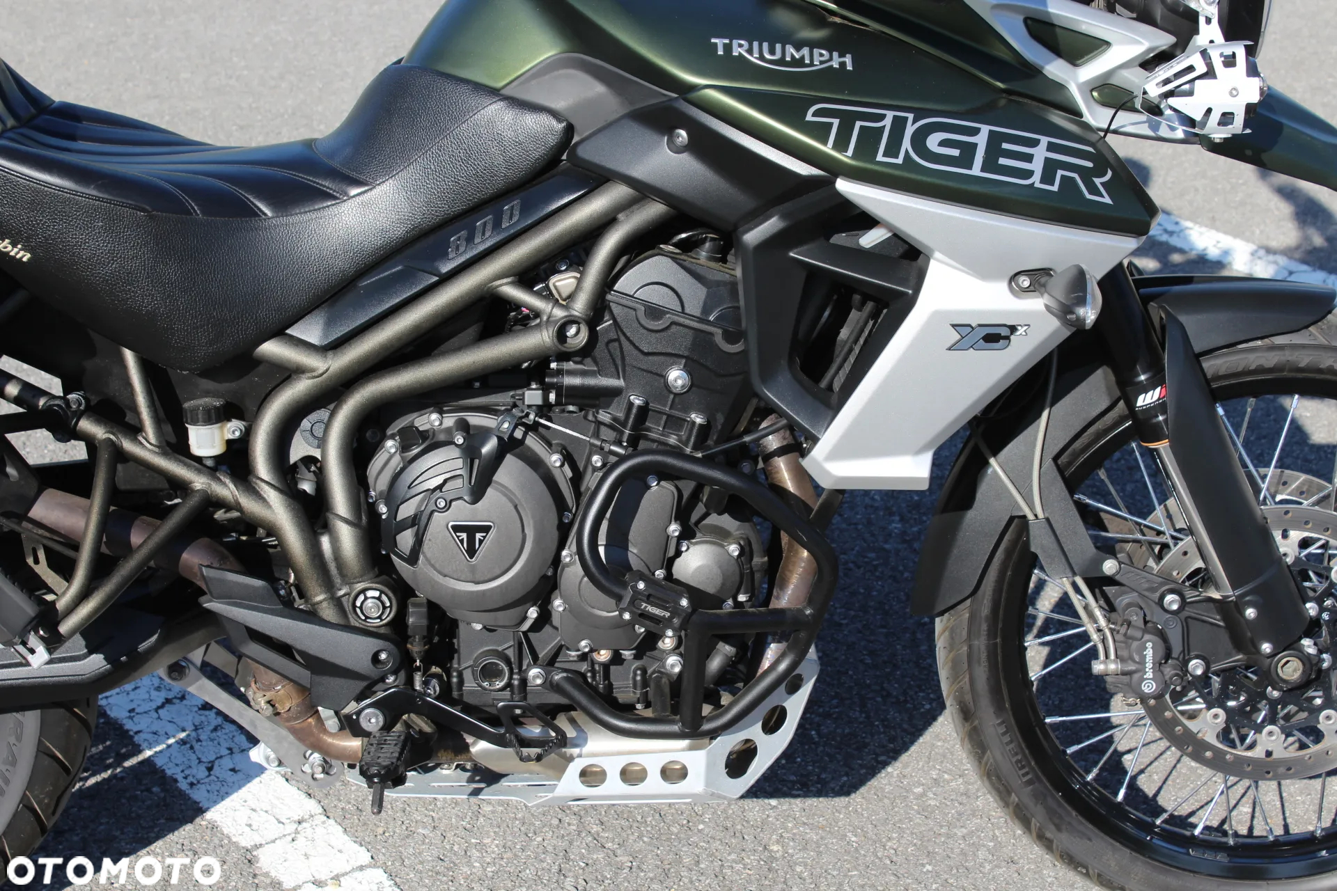 Triumph Tiger - 8