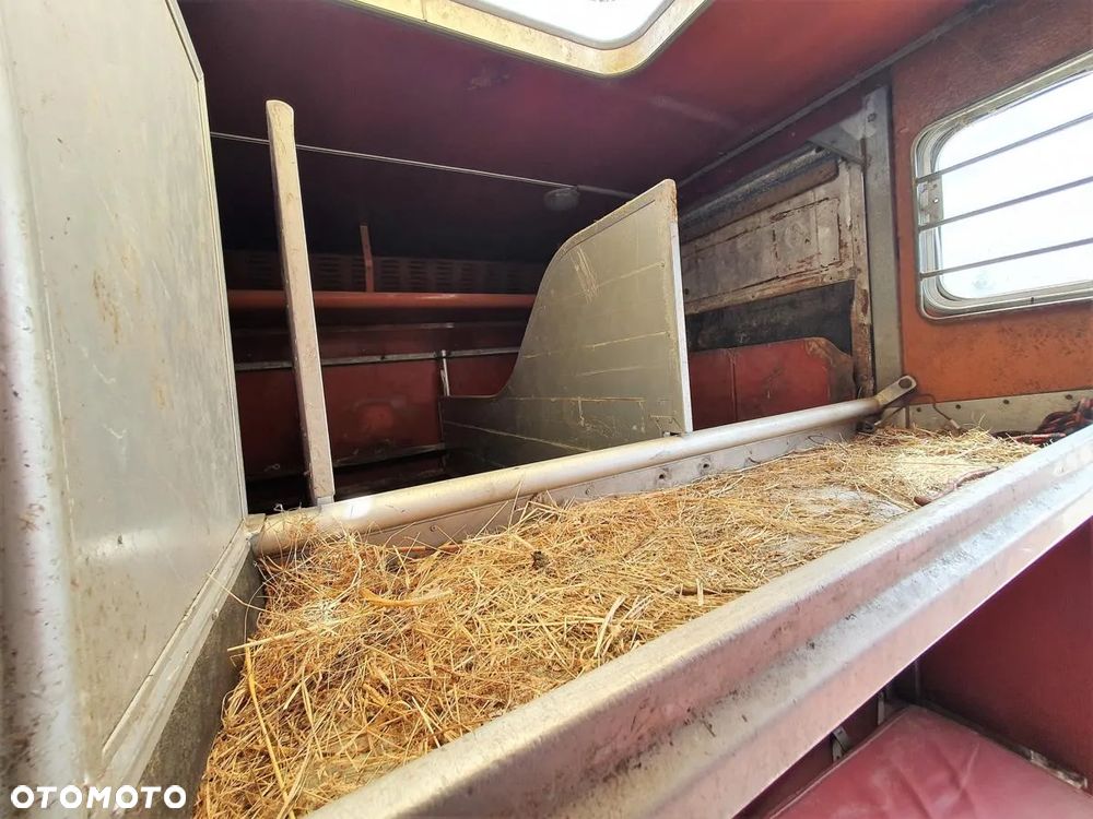 Mercedes-Benz MERCEDES BENZ 1117 L (KONIOWÓZ) - 31
