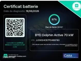 BYD Dolphin 60.4 kWh Comfort - 30