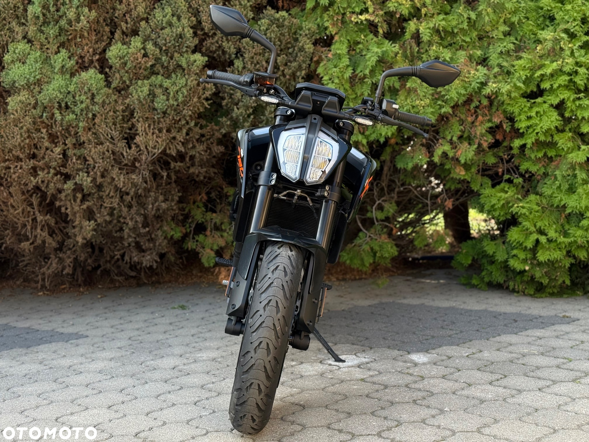 KTM Duke - 8