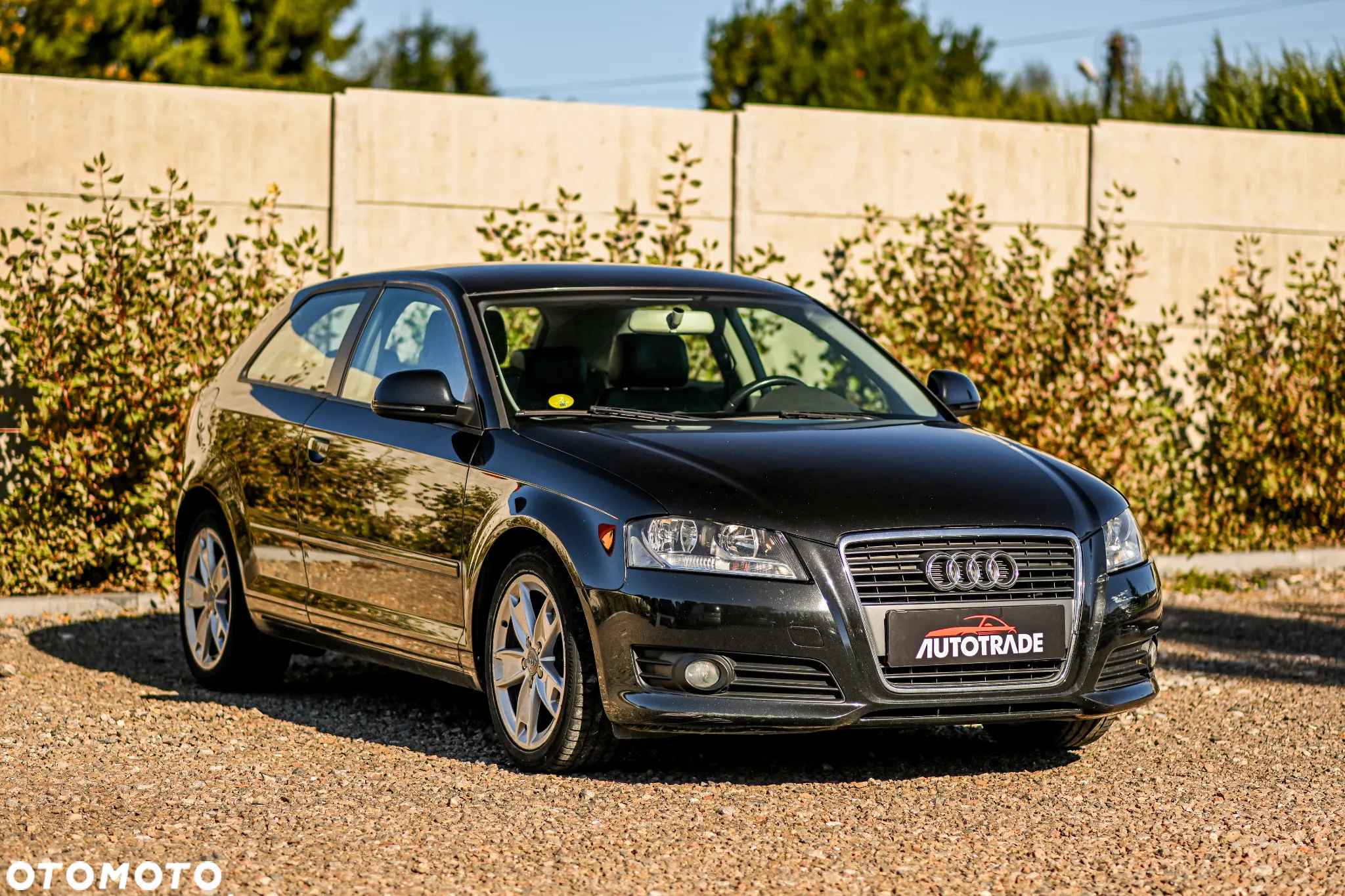 Audi A3 1.6 TDI Ambition - 2
