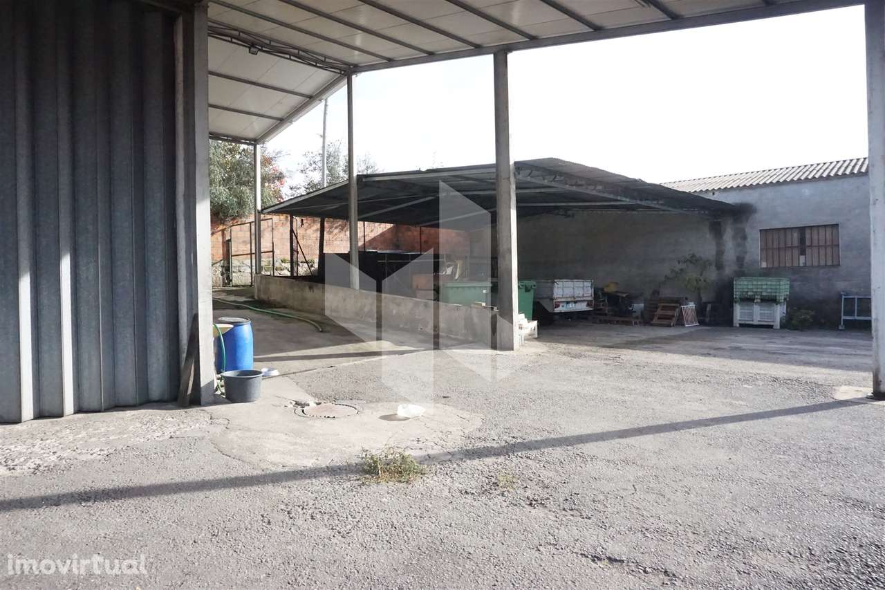 Armazém  Venda em Tondela e Nandufe,Tondela - Grande imagem: 5/17