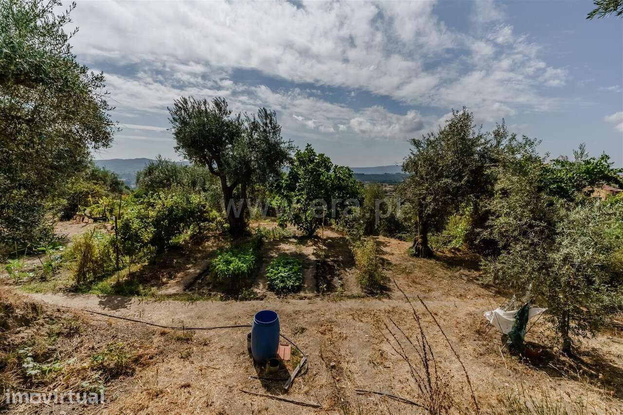 Terreno / Covilhã, Tortosendo - Grande imagem: 3/20
