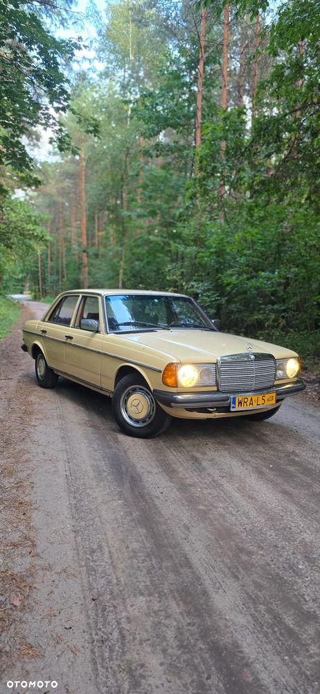 Mercedes-Benz W123 - 2