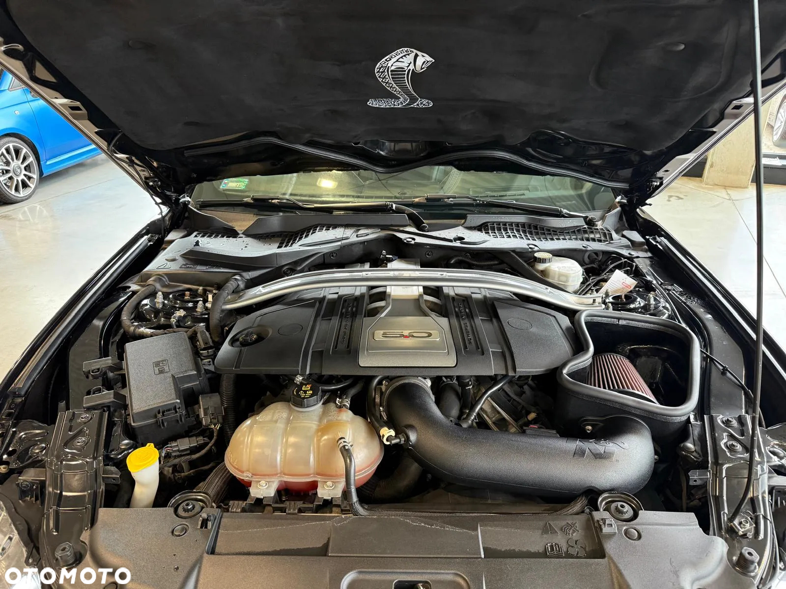 Ford Mustang Fastback 5.0 Ti-VCT V8 MACH1 - 24