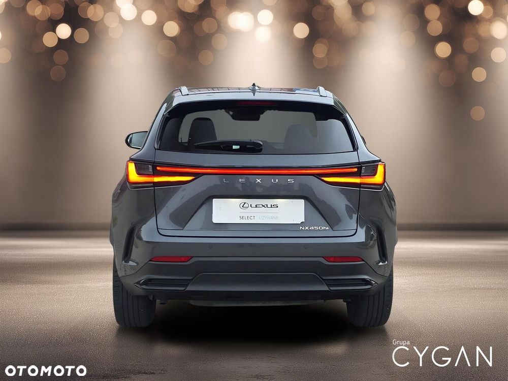 Lexus NX - 6