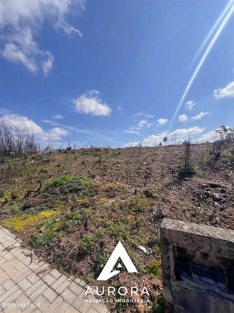 Lote de Terreno  Venda em Valongo do Vouga,Águeda - Grande imagem: 2/8