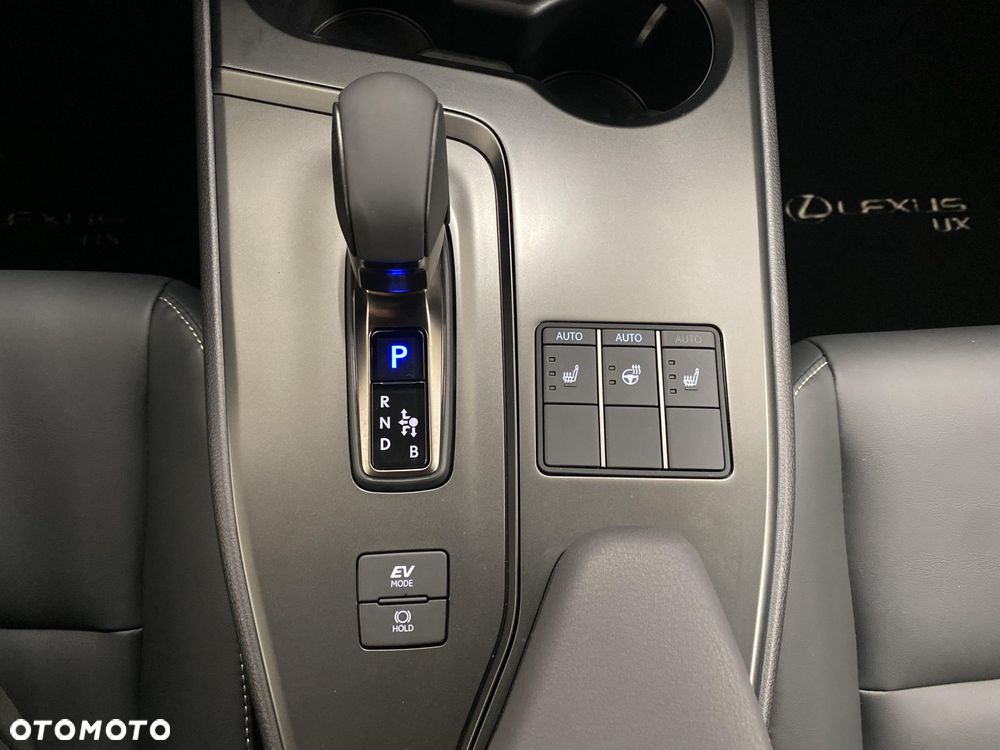 Lexus UX 300h F Sport Design - 19