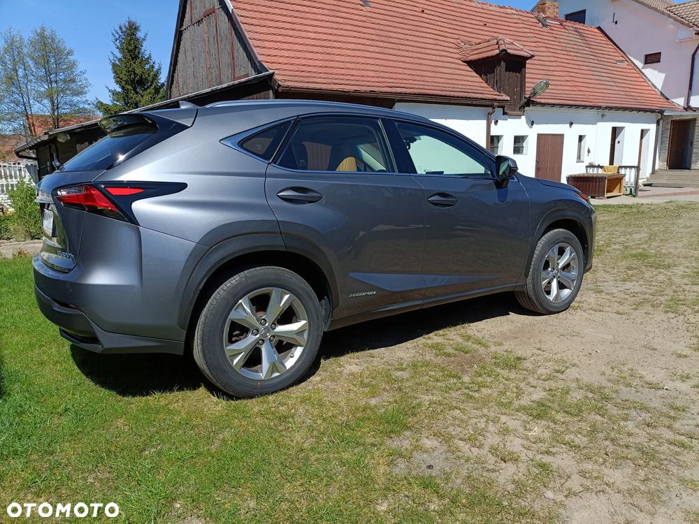 Lexus NX 300h Elegance AWD - 1