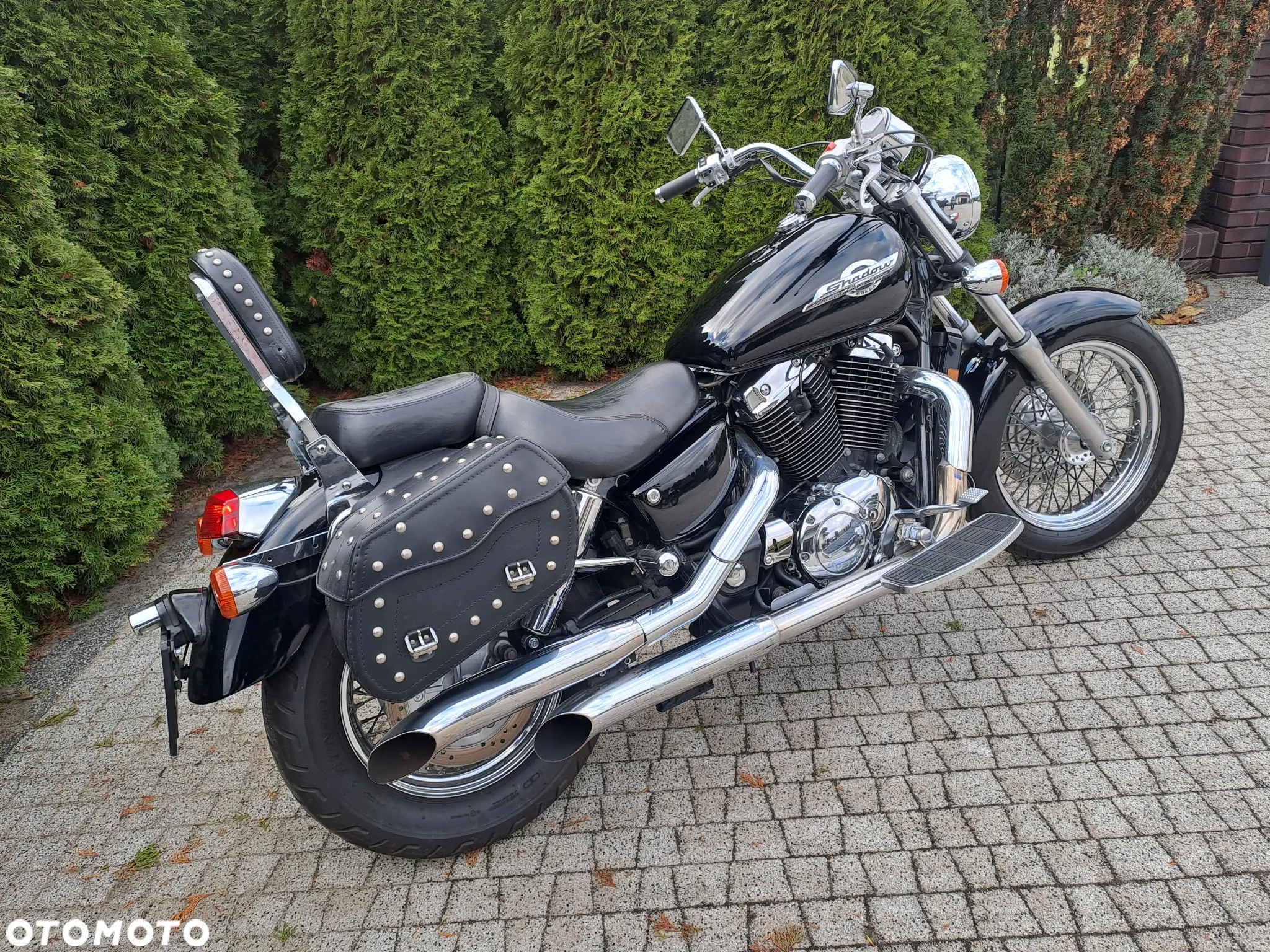 Honda Shadow - 13