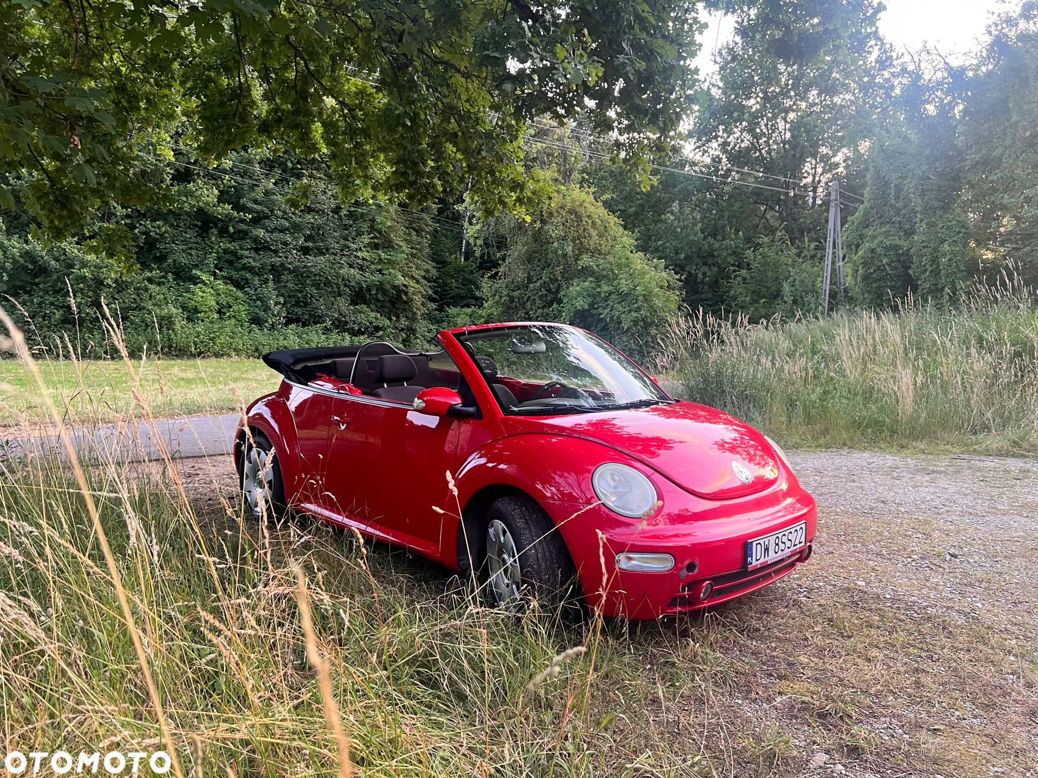 Volkswagen New Beetle 1.4 - 17