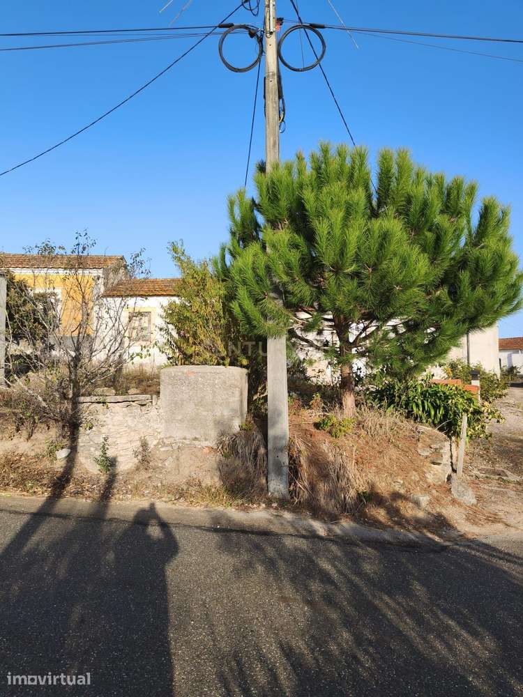 Casa de traça antiga com jardim, logradouro e terreno de cultivo. - Grande imagem: 4/25