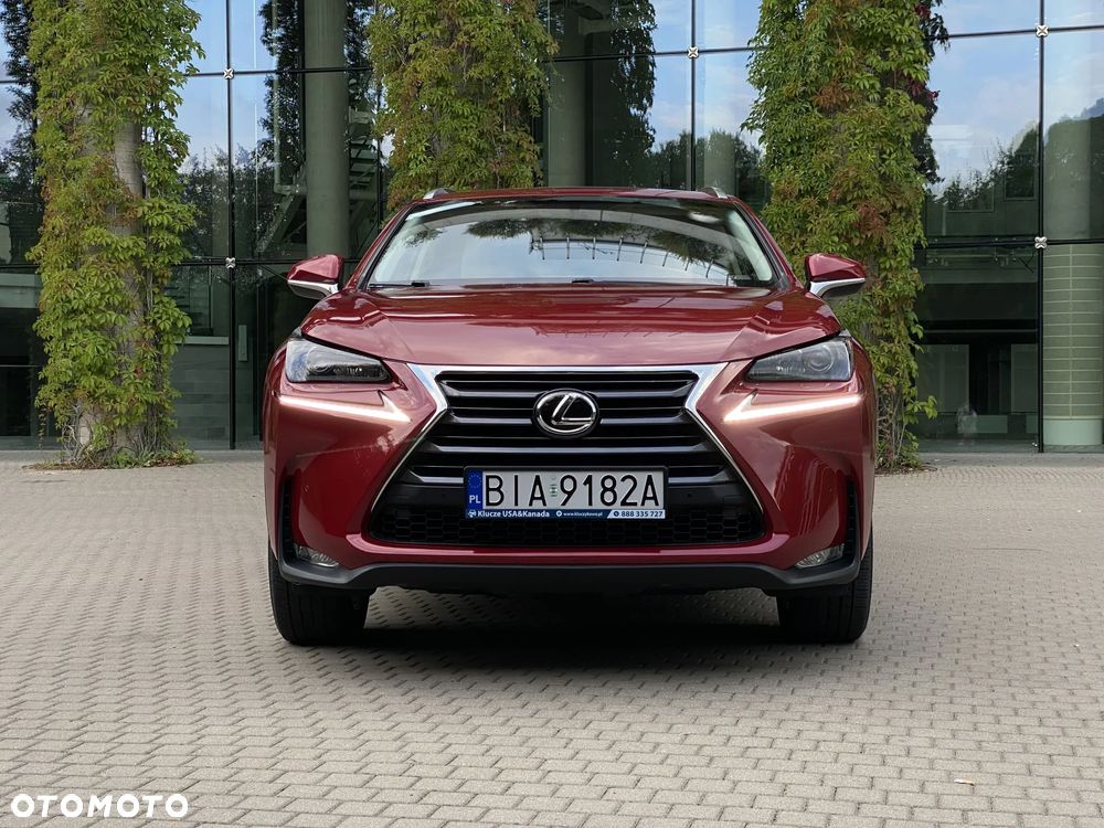 Lexus NX 200t AWD Luxury Line - 7